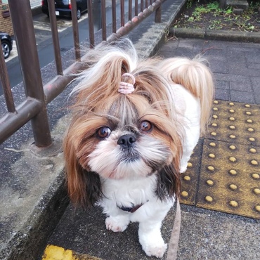 の写真