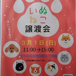 保護犬猫譲渡会 サムネイル1