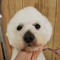 基本はパワフルでヤンチャな男の子♪