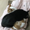 の写真