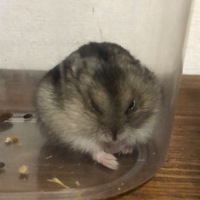 ムタさん