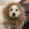 の写真