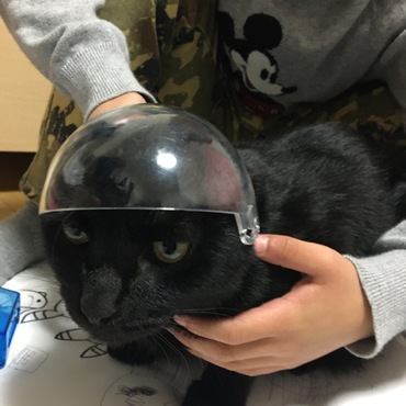 バズ・ライトイヤーのヘルメットで遊ばれて怒顔しゅうちゃん