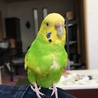 の写真