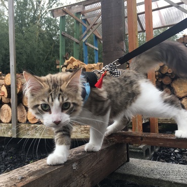 壬生野の家に行ってきました