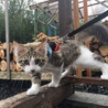 壬生野の家に行ってきました
