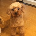 初心者にも大丈夫なすずめちゃん！