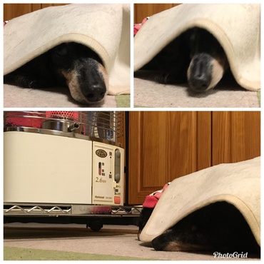 の写真