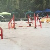 楽しかったねー アジリティー♡ 2004年