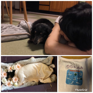 ありがとうね♡愛してるよ♡まつ