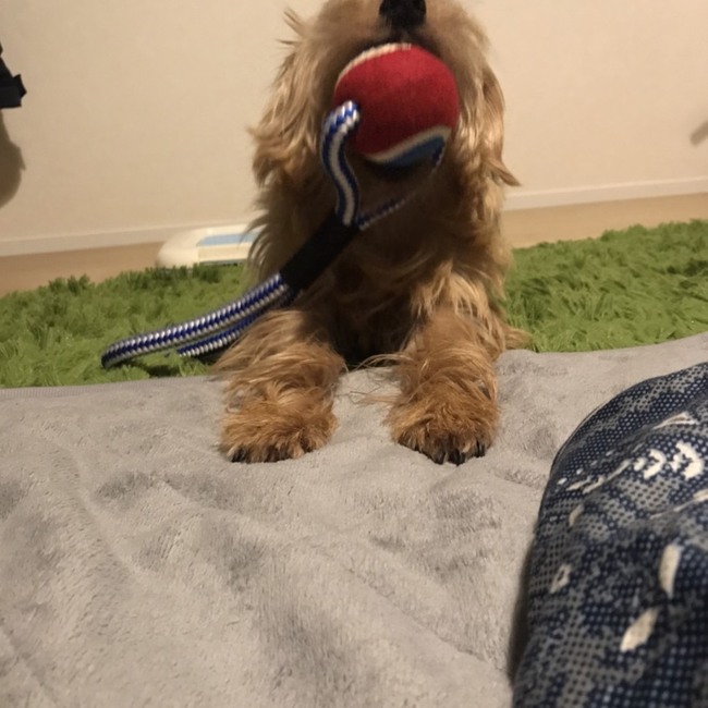 shunsuke19870905のカバー写真