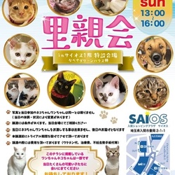 入間ショッピングプラザサイオス犬猫里親会