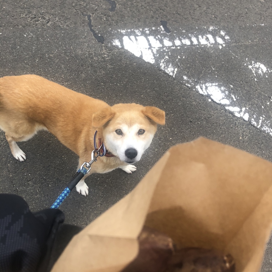 りんのカバー写真