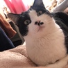 らいでん