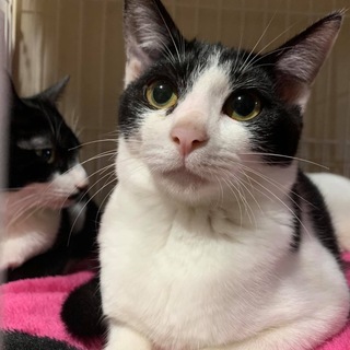 超甘えた女の子