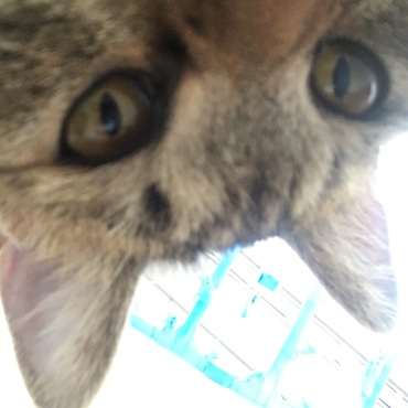 の写真