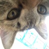 の写真