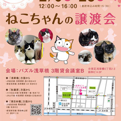 ねこざんまい譲渡会@浅草橋