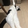 ティノのびー