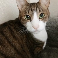 すーちゃん