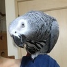 の写真