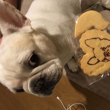 バレンタイン！クッキー頂きました！よかったね！belleちゃん！