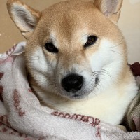 まりゅ