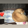 寝るときはまりゅの方から息子に添い寝(*´ω｀*)