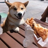 あーちゃんぬさん
