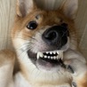 の写真