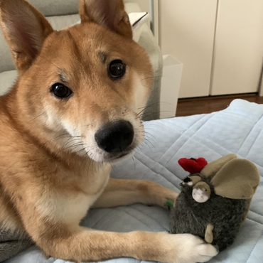 の写真