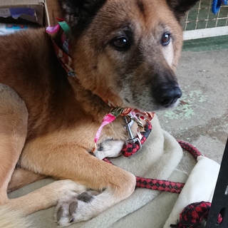 ありがとうございました★りょうくん