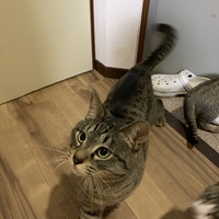 銀次郎