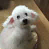 の写真