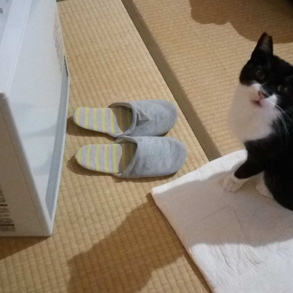 ふくのカバー写真