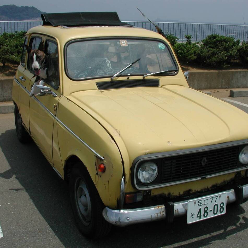 かりんのカバー写真