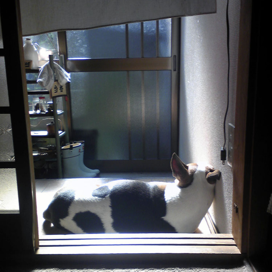 ラスのカバー写真