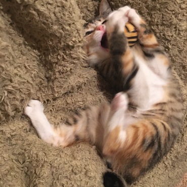 の写真
