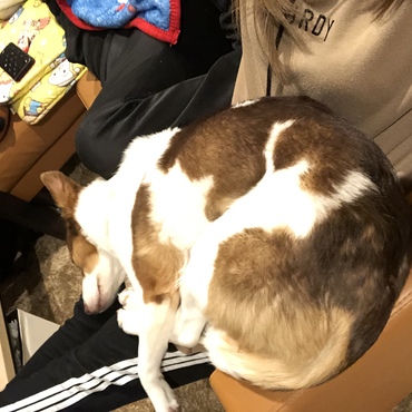 の写真