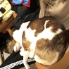 の写真