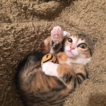 の写真