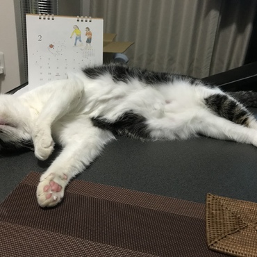 の写真