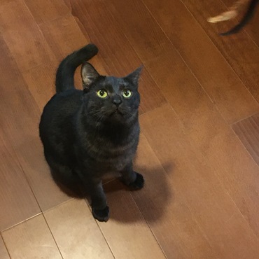 外に身体を出して遊ぶようにはなってます。