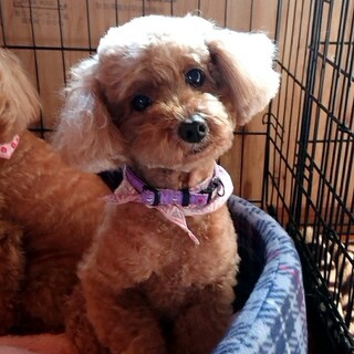 良いご縁がありました！