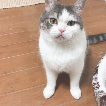 の写真