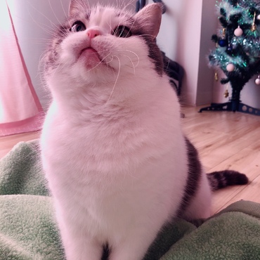 の写真