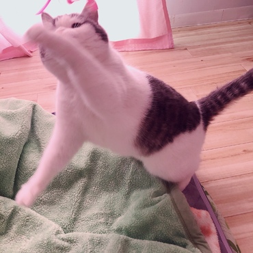 の写真