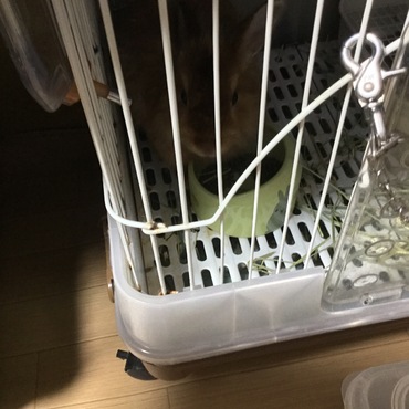 今日も元気です。