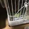 今日も元気です。