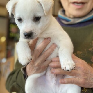 ちっちゃな可愛い男子